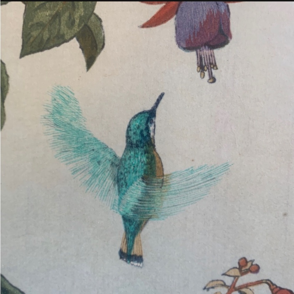 Toshi Yoshida Vintage Woodblock Framed Hummingbird Signed Art Print - Picture 6 of 9